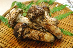 matsutake22.10.02